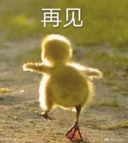 朋友,你喜欢吃香菜吗 朋友,你喜欢吃香菜吗