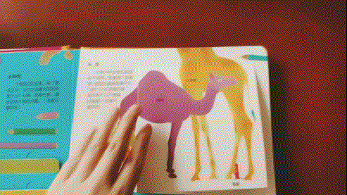 这个寒假只能把娃关家里?没关系,这些“心头好”让娃乖乖呆在家 这个寒假只能把娃关家里?没关系,这些“心头好”让娃乖乖呆在家