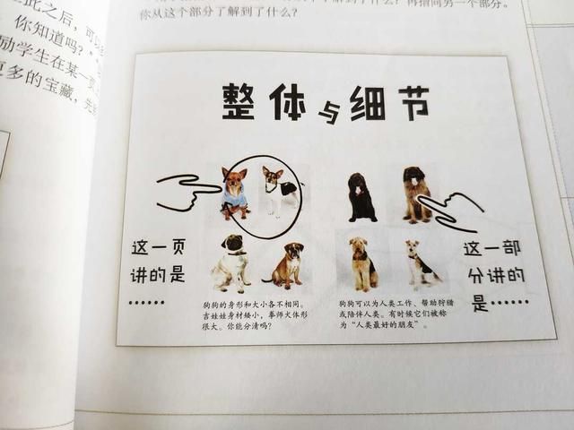 和孩子共读了那么多书，这些阅读指导的“道”与“术”，你清楚吗