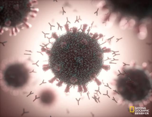 为什么有些人不会得新冠? 为什么有些人不会得新冠?