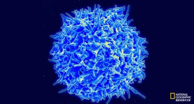 为什么有些人不会得新冠? 为什么有些人不会得新冠?