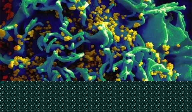 为什么有些人不会得新冠? 为什么有些人不会得新冠?