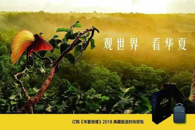 全中国，看广州