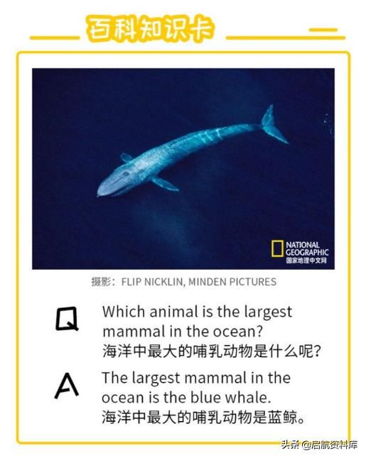 国家地理中文网:小探险家双语百科50集音频+视频+知识卡,可下载 国家地理中文网:小探险家双语百科50集音频+视频+知识卡,可下载