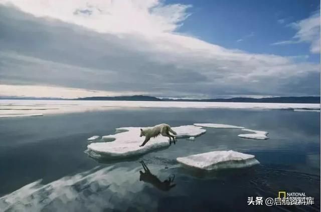 国家地理中文网:小探险家双语百科50集音频+视频+知识卡,可下载 国家地理中文网:小探险家双语百科50集音频+视频+知识卡,可下载