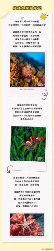 国家地理中文网:小探险家双语百科50集音频+视频+知识卡,可下载 国家地理中文网:小探险家双语百科50集音频+视频+知识卡,可下载