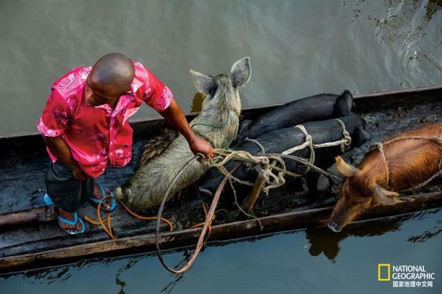 无人监管的刚果河，乱套了