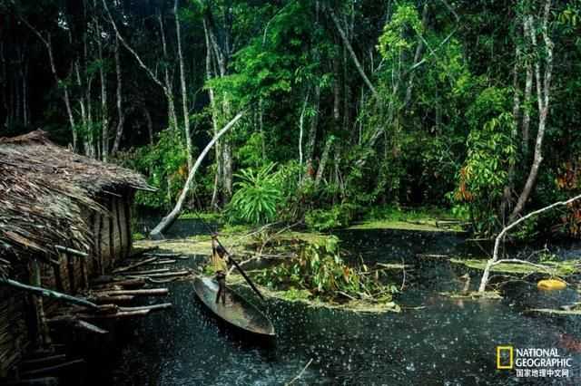 无人监管的刚果河，乱套了