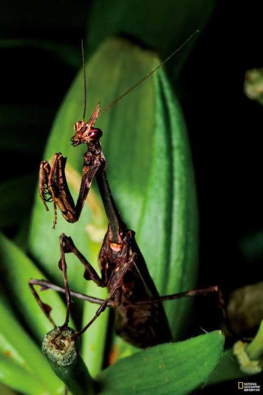 这些冷知识,你都知道嘛? 这些冷知识,你都知道嘛?