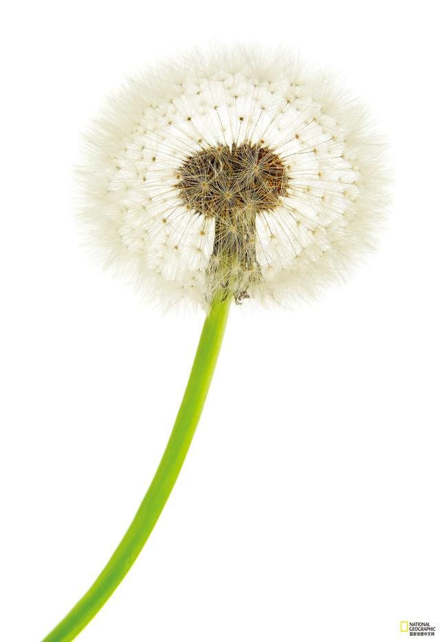 这些冷知识,你都知道嘛? 这些冷知识,你都知道嘛?