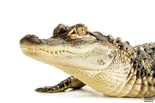 这些冷知识,你都知道嘛? 这些冷知识,你都知道嘛?