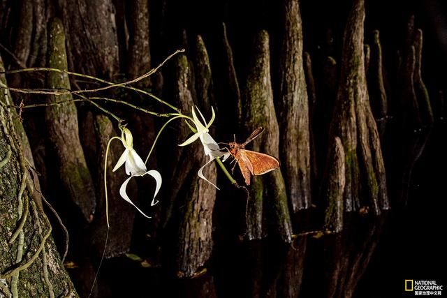 这些冷知识,你都知道嘛? 这些冷知识,你都知道嘛?