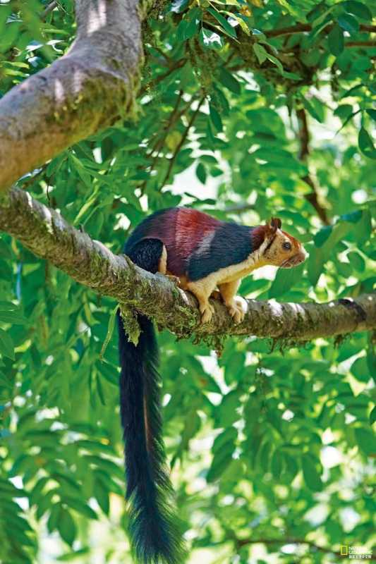 这些冷知识,你都知道嘛? 这些冷知识,你都知道嘛?