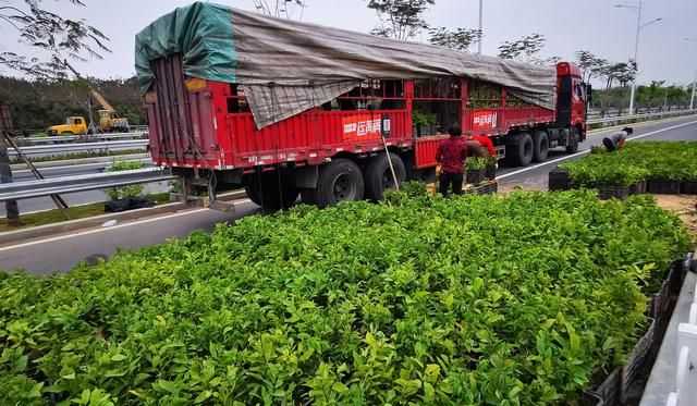 特色农业 乘风破浪