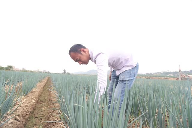 特色农业 乘风破浪