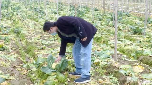 龙文:不负春光不误农时 气象助力春耕生产 龙文:不负春光不误农时 气象助力春耕生产