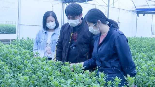 龙文:不负春光不误农时 气象助力春耕生产 龙文:不负春光不误农时 气象助力春耕生产