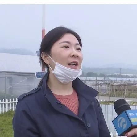 龙文:不负春光不误农时 气象助力春耕生产 龙文:不负春光不误农时 气象助力春耕生产