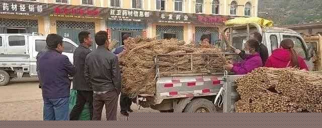 珍药材 | 5月27日等中药材产地快讯