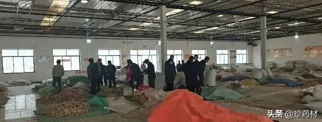 珍药材 | 5月27日等中药材产地快讯