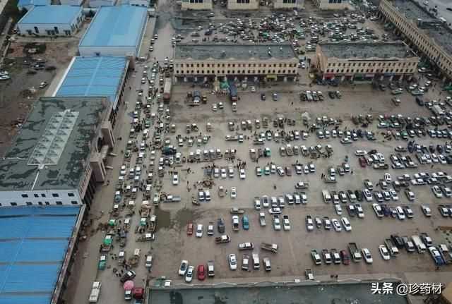 珍药材 | 5月27日等中药材产地快讯