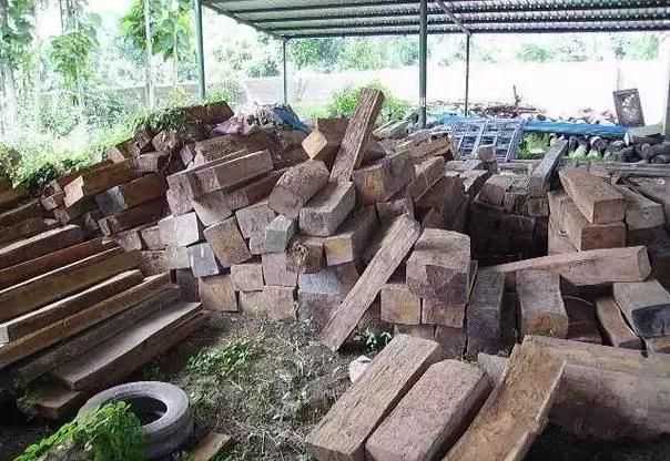 收藏知识 |“掌握”这张文玩地图,相当于掌握了文玩界 收藏知识 |“掌握”这张文玩地图,相当于掌握了文玩界