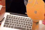 抖音的运营与营销 抖音的运营与营销