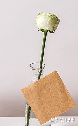 抖音投流——巨量千川 抖音投流——巨量千川