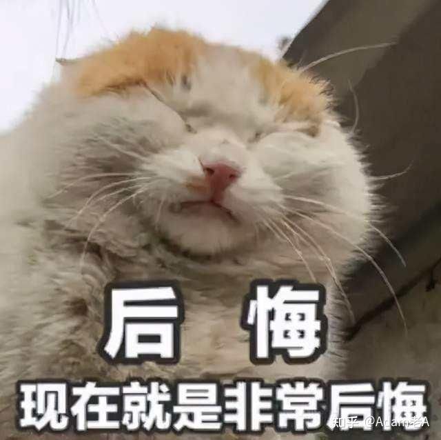 Tik Tok国际版抖音竟然比国内抖音更赚钱!运营方法拿来吧你 ... Tik Tok国际版抖音竟然比国内抖音更赚钱!运营方法拿来吧你 ...