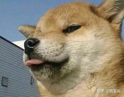 2021年，如何从零开始运营一个抖音账号？（3300字干货）