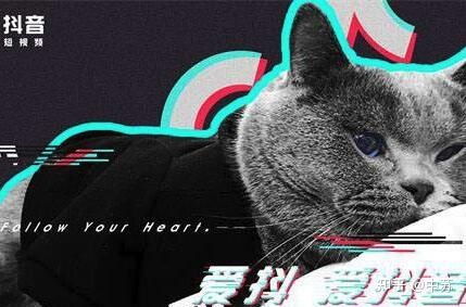 注意!抖音运营,这9件事千万不能做!!! 注意!抖音运营,这9件事千万不能做!!!