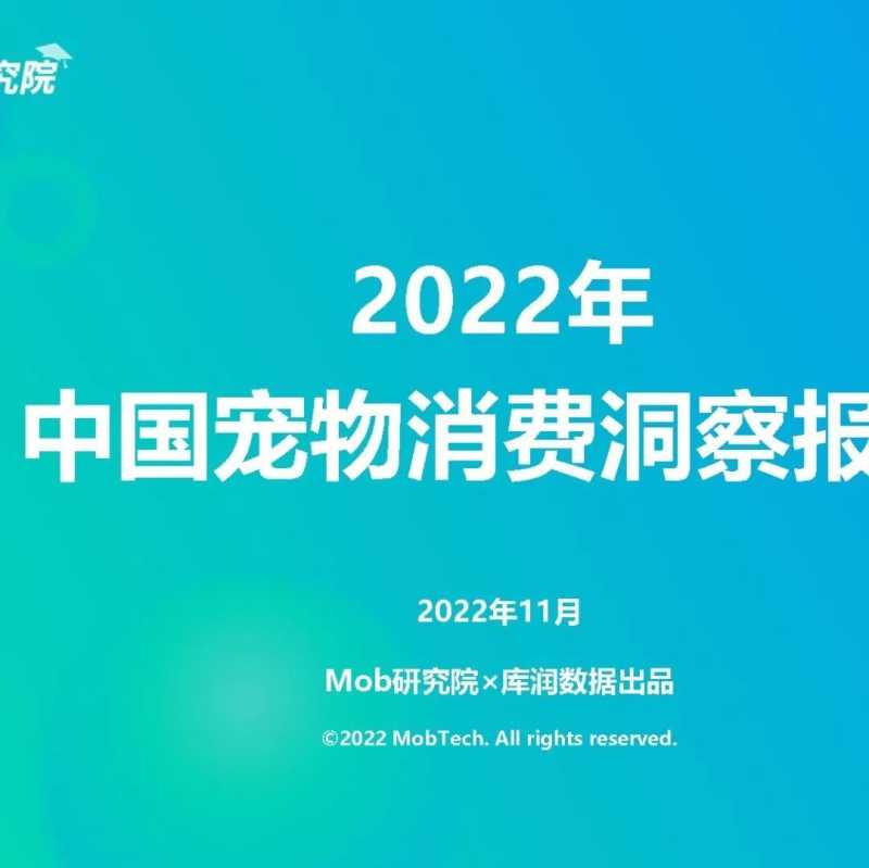 2022抖音双11营销洞察报告 2022抖音双11营销洞察报告