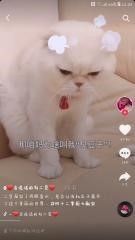 一篇文章6个要点告诉你为什么要进行抖音营销? 一篇文章6个要点告诉你为什么要进行抖音营销?