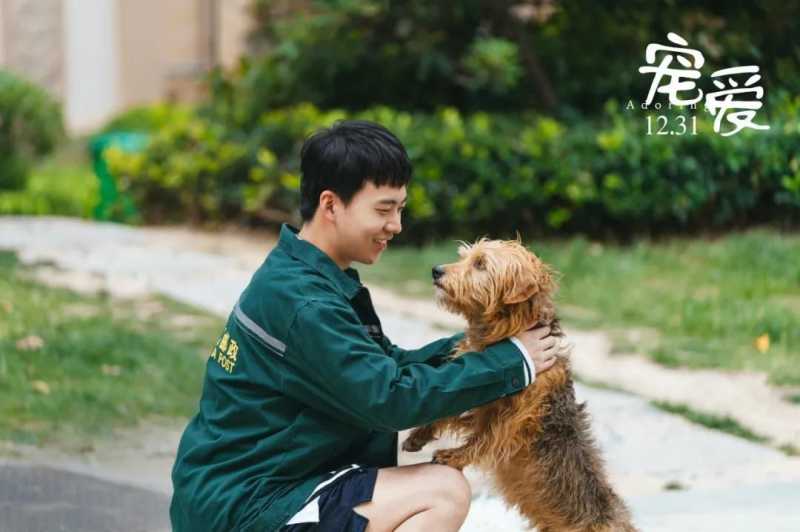 抖音已成宣发标配,但营销效果如何全面监测? 抖音已成宣发标配,但营销效果如何全面监测?