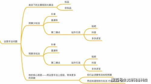 拼多多小卖家如何逆袭：运营秘籍大揭秘