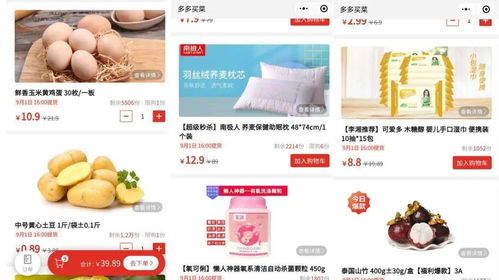 拼多多买菜零钱怎么花?教你用零钱买到满意的蔬菜水果! 拼多多买菜零钱怎么花?教你用零钱买到满意的蔬菜水果!