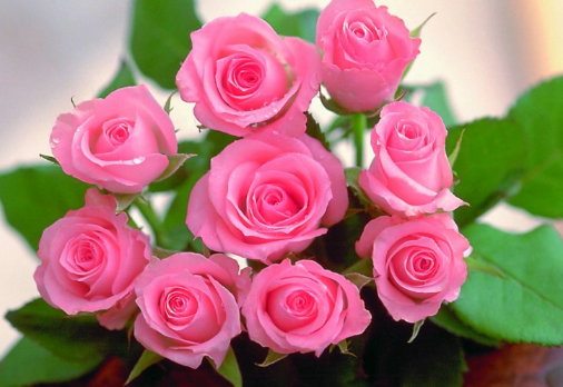 谷歌推广账户怎么开通?谷歌搜索开户怎么收费? 谷歌推广账户怎么开通?谷歌搜索开户怎么收费?