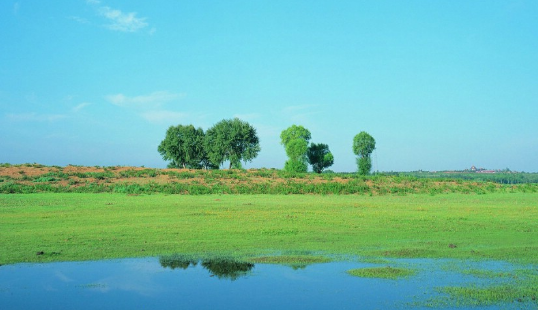谷歌推广账户怎么开通?谷歌搜索开户怎么收费? 谷歌推广账户怎么开通?谷歌搜索开户怎么收费?