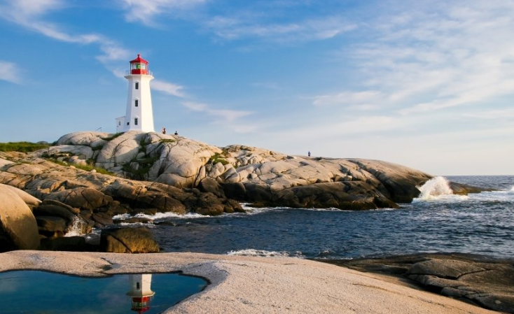 现在谷歌跑软饮料效果怎么样?谷歌信息流广告政策有哪些? 现在谷歌跑软饮料效果怎么样?谷歌信息流广告政策有哪些?