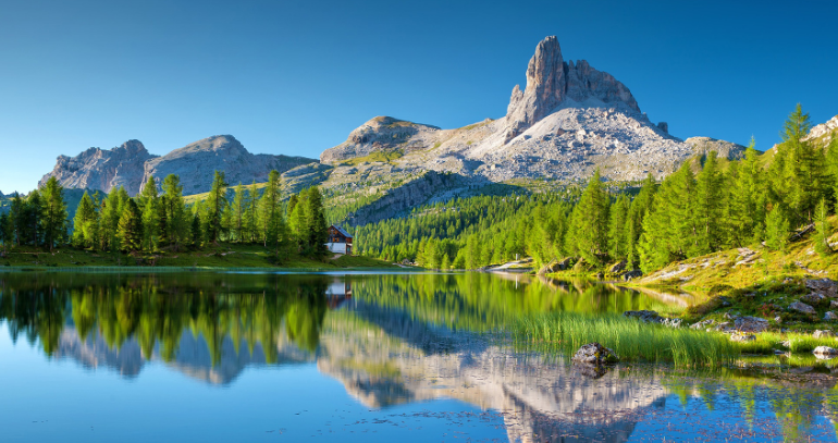 辽宁搜狗广告代理商找谁,体育现在投放效果好不好? 辽宁搜狗广告代理商找谁,体育现在投放效果好不好?