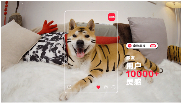 2022.小红书的广告推广密码 2022.小红书的广告推广密码