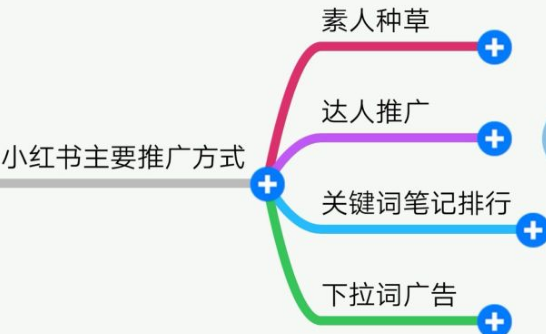 小红书广告投放需要注意些什么呢?主要的推广方式有几种? 小红书广告投放需要注意些什么呢?主要的推广方式有几种?