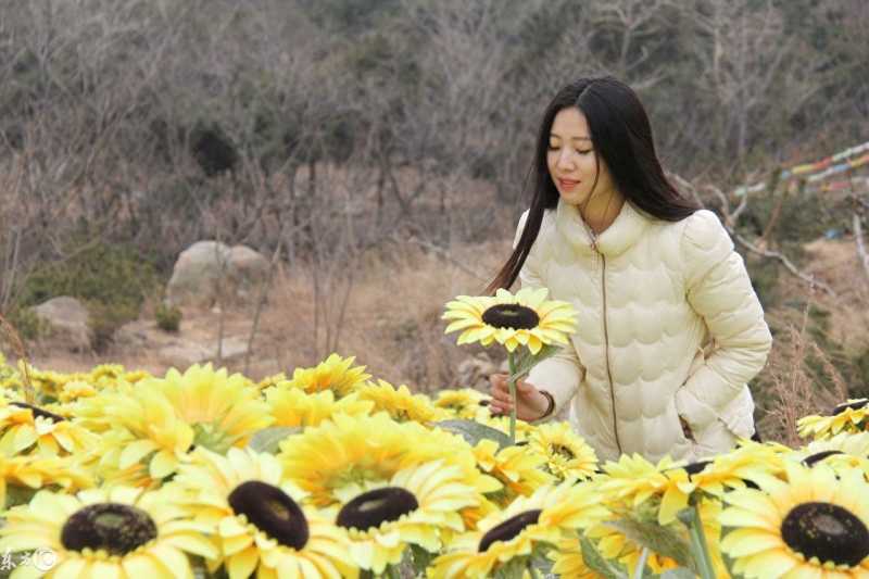 阿里分销客是什么样（阿里巴巴做分销的办法）