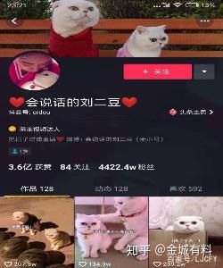 抖音最火的8大网红，你知道几个