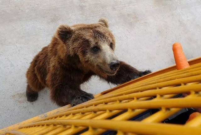 入驻天猫要求是什么 入驻天猫要求是什么