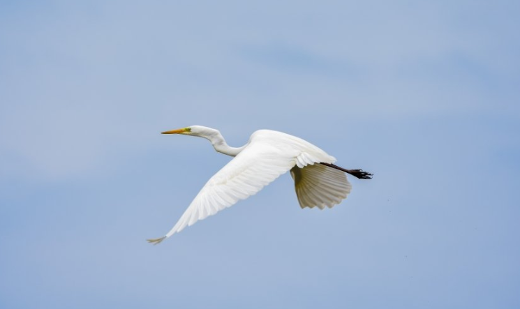 雅虎信息流推广怎么做?雅虎现在跑卖车成本多少? 雅虎信息流推广怎么做?雅虎现在跑卖车成本多少?