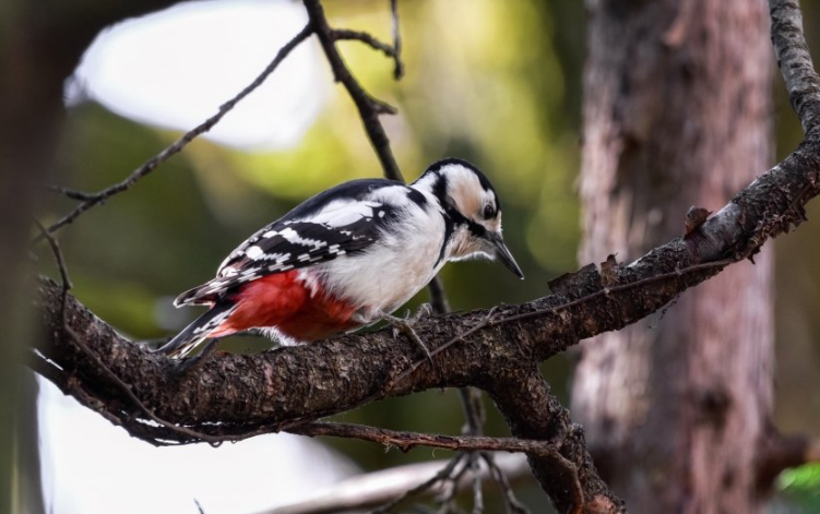 雅虎信息流推广效果好吗?雅虎跑优盘效果好吗? 雅虎信息流推广效果好吗?雅虎跑优盘效果好吗?