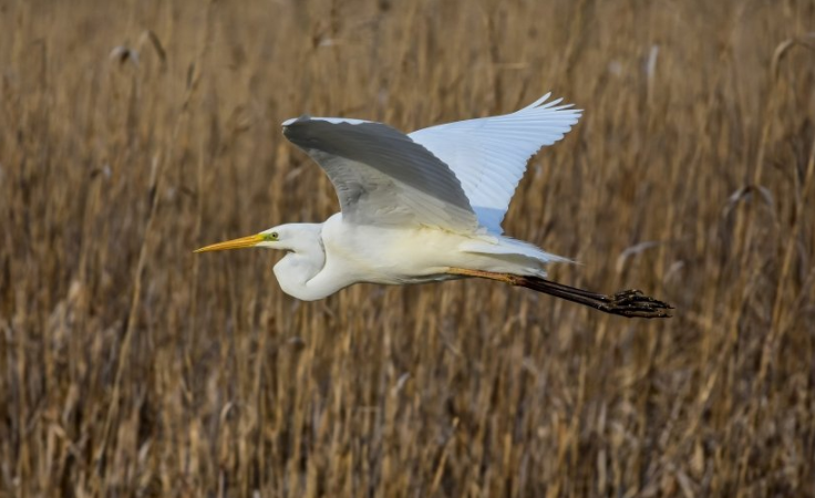 雅虎信息流推广效果好吗?雅虎跑优盘效果好吗? 雅虎信息流推广效果好吗?雅虎跑优盘效果好吗?