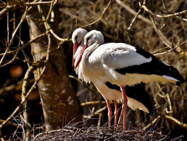 雅虎代跑保险业成本多少?雅虎代理商是哪家? 雅虎代跑保险业成本多少?雅虎代理商是哪家?