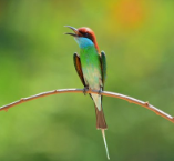 网易推广怎么投放广告呢?出现了与红海争夺股票的局面。 网易推广怎么投放广告呢?出现了与红海争夺股票的局面。